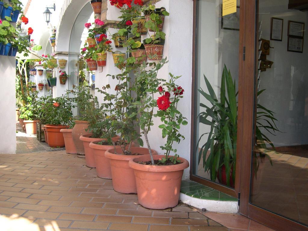 Hotel Cortijo Los Gallos Chiclana de la Frontera Exterior foto